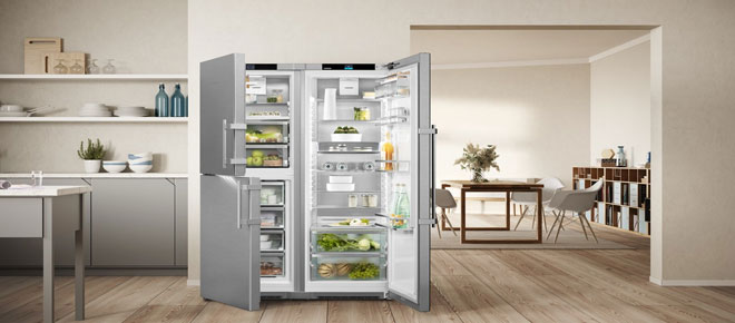 Top Energy-Efficient Fridges and Freezers